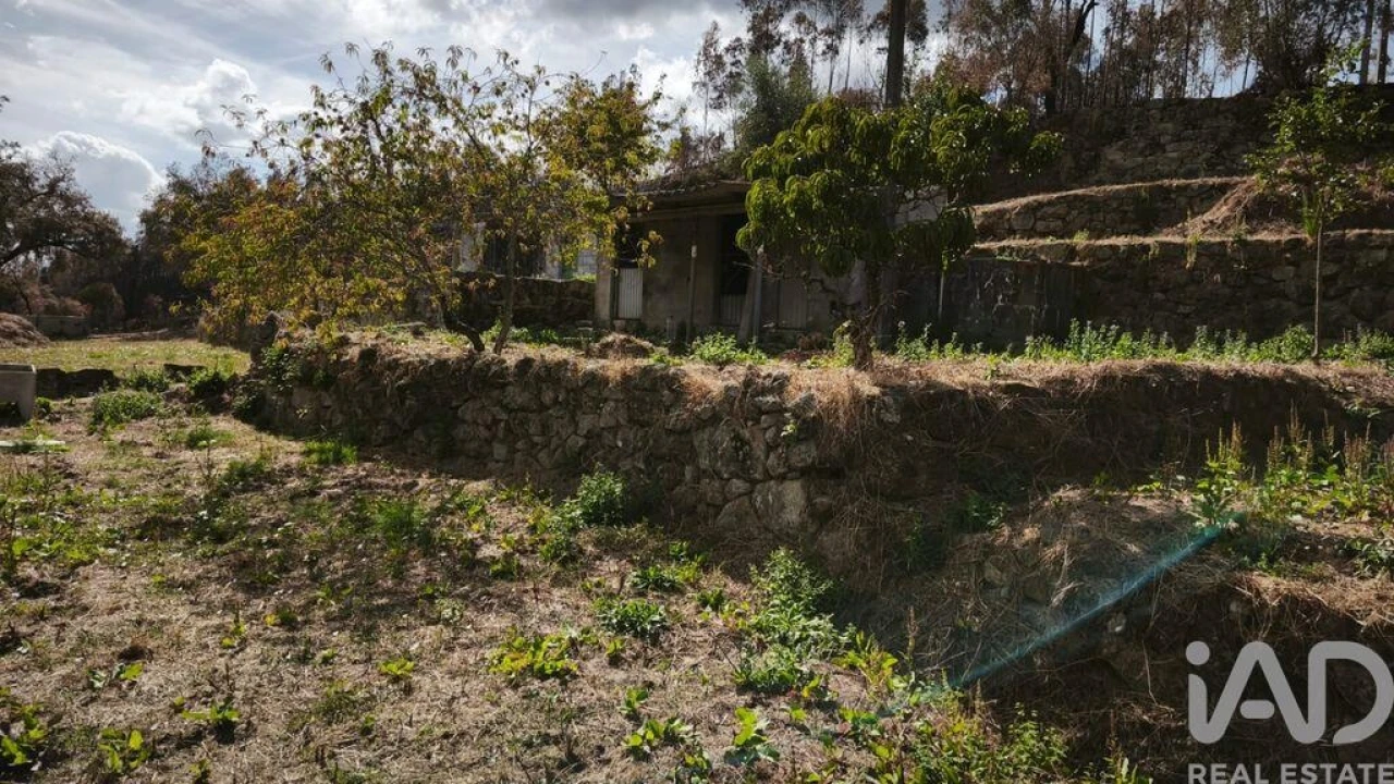 Terreno para Venda em Santa Ovaia e Vila Pouca da Beira Foto 22