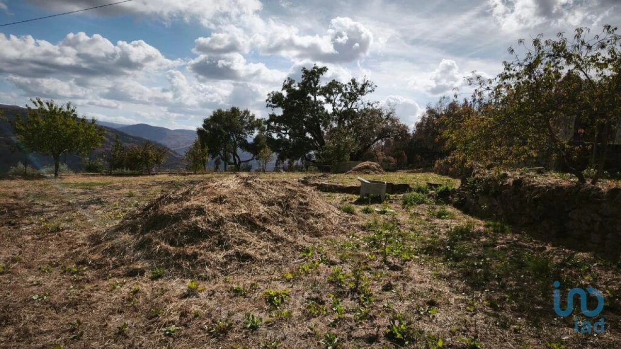 Terreno para Venda em Santa Ovaia e Vila Pouca da Beira Foto 11
