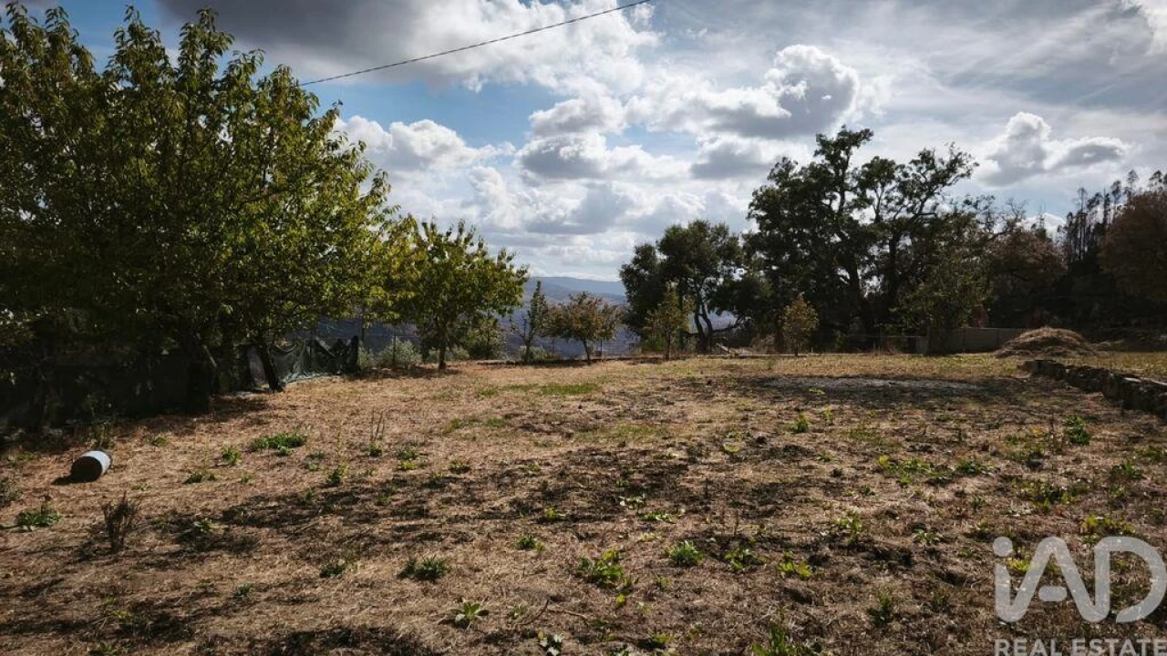 Terreno para Venda em Santa Ovaia e Vila Pouca da Beira Foto 19