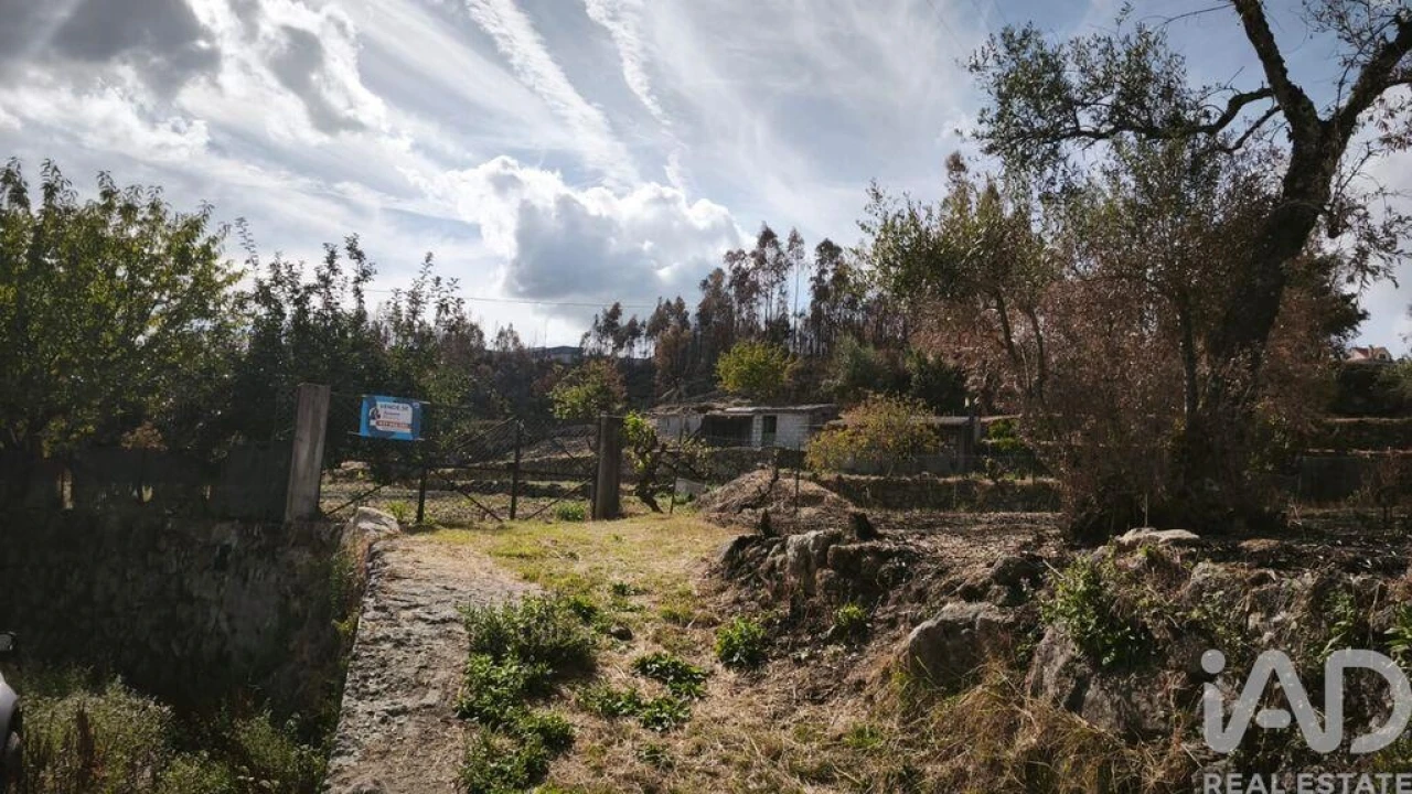 Terreno para Venda em Santa Ovaia e Vila Pouca da Beira Foto 27