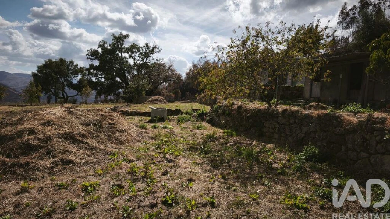 Terreno para Venda em Santa Ovaia e Vila Pouca da Beira Foto 23