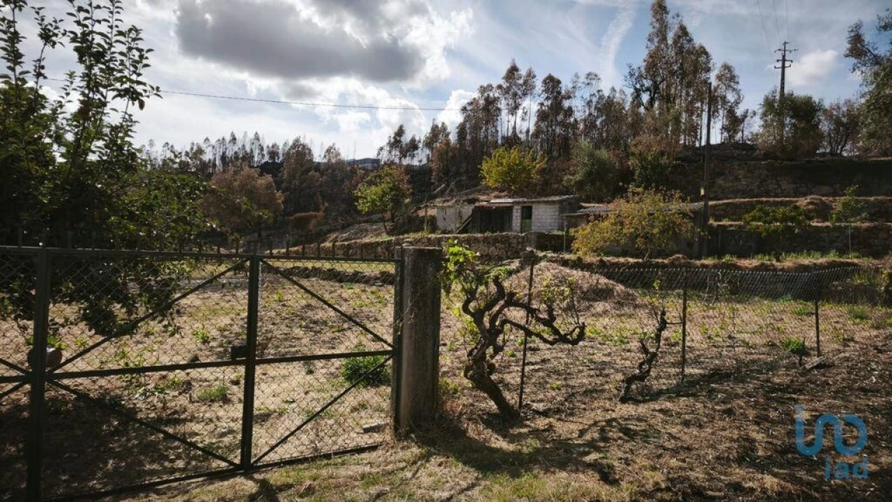 Terreno para Venda em Santa Ovaia e Vila Pouca da Beira Foto 8