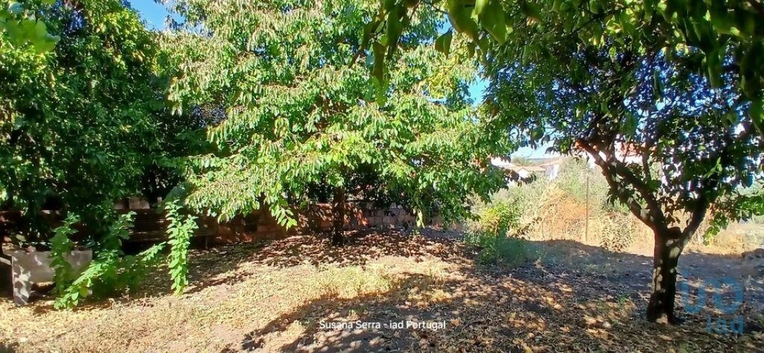 Moradia T4 para Venda em Arez e Amieira do Tejo Foto 4