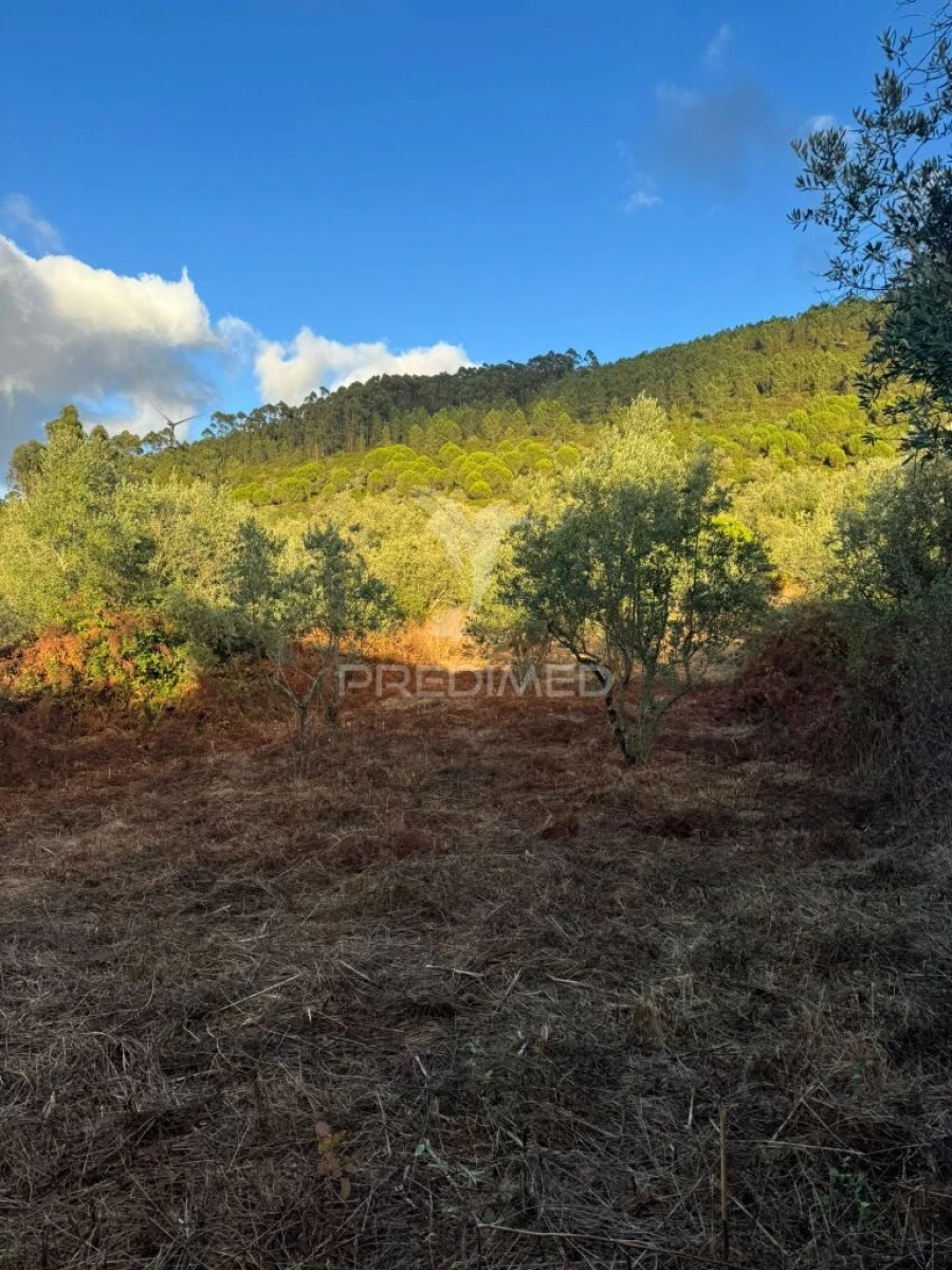 Terreno para Venda em Alqueidão da Serra Foto 11