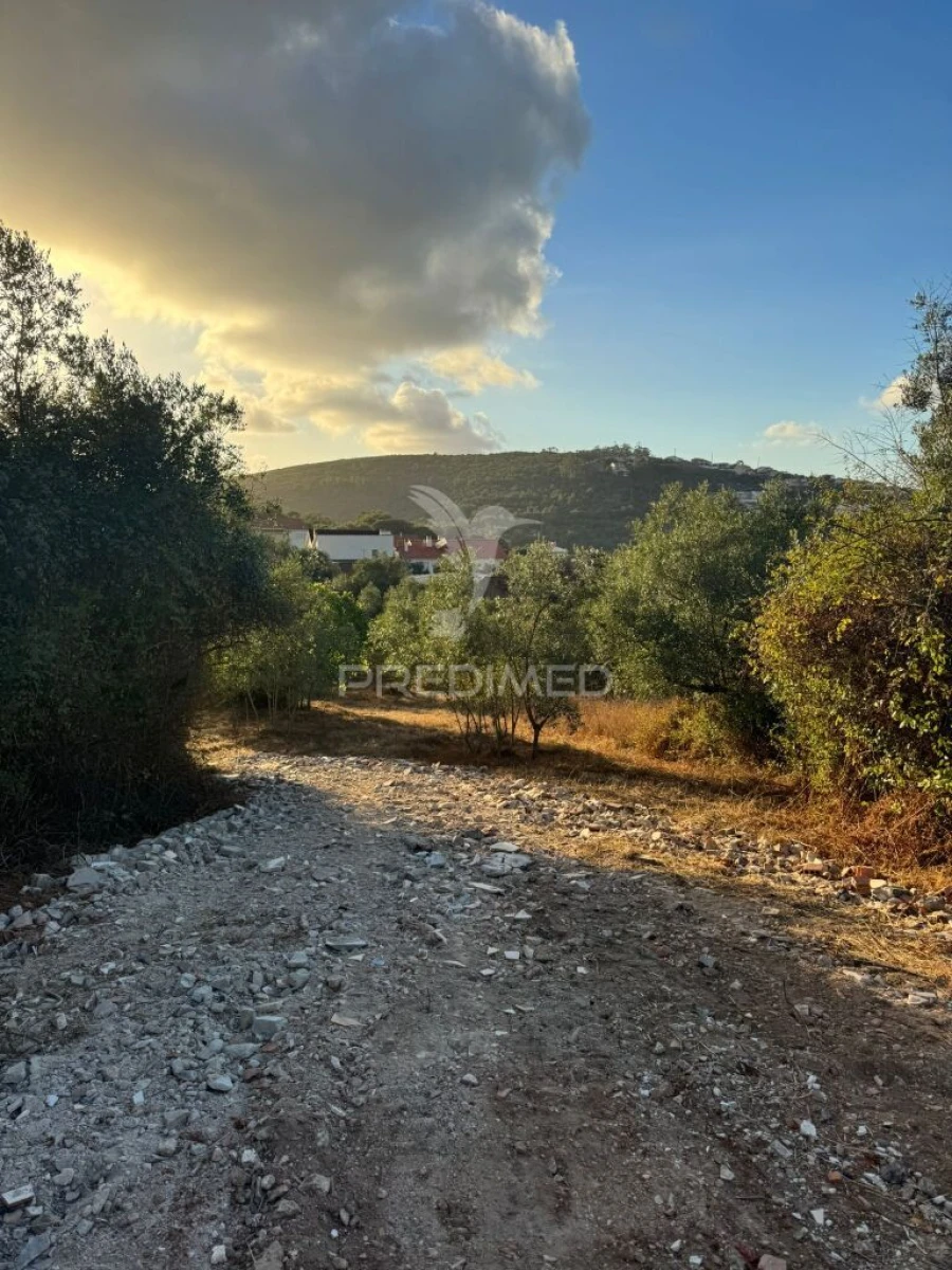 Terreno para Venda em Alqueidão da Serra Foto 18