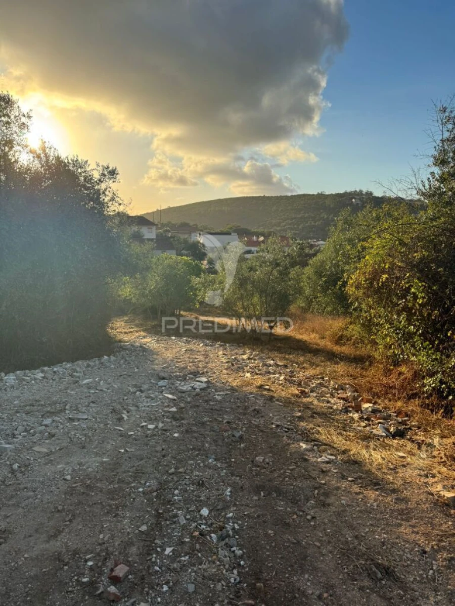 Terreno para Venda em Alqueidão da Serra Foto 16