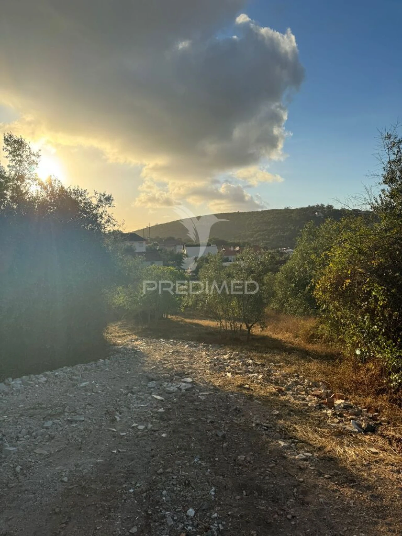 Terreno para Venda em Alqueidão da Serra Foto 20