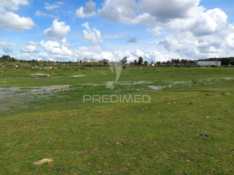 Quinta para Venda em Mêda, Outeiro de Gatos e Fonte Longa Foto 4