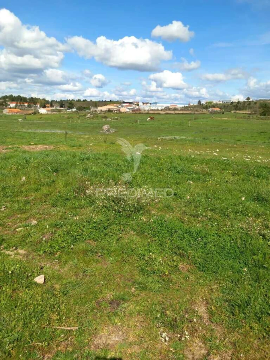 Quinta para Venda em Mêda, Outeiro de Gatos e Fonte Longa Foto 9