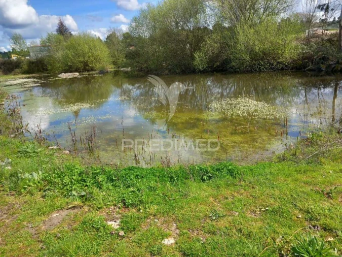 Quinta para Venda em Mêda, Outeiro de Gatos e Fonte Longa Foto 1