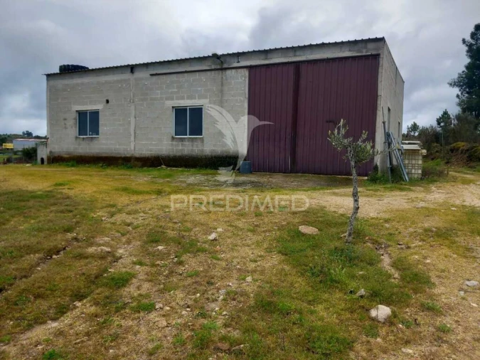 Quinta para Venda em Mêda, Outeiro de Gatos e Fonte Longa Foto 12