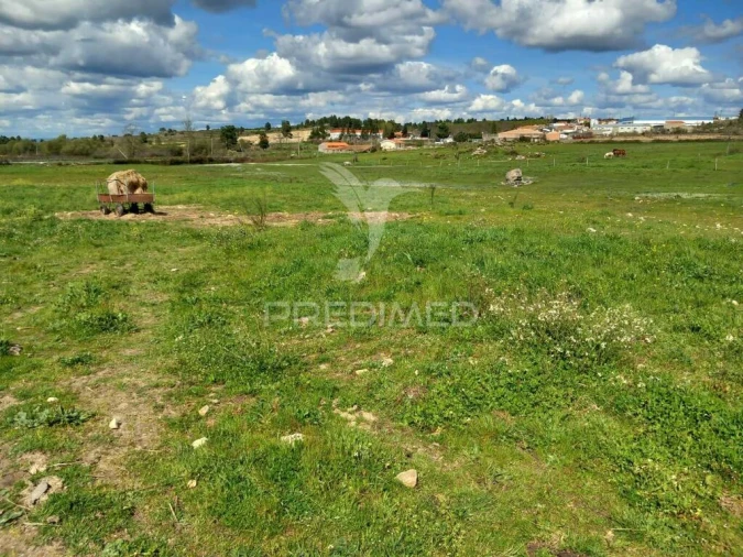 Quinta para Venda em Mêda, Outeiro de Gatos e Fonte Longa Foto 6