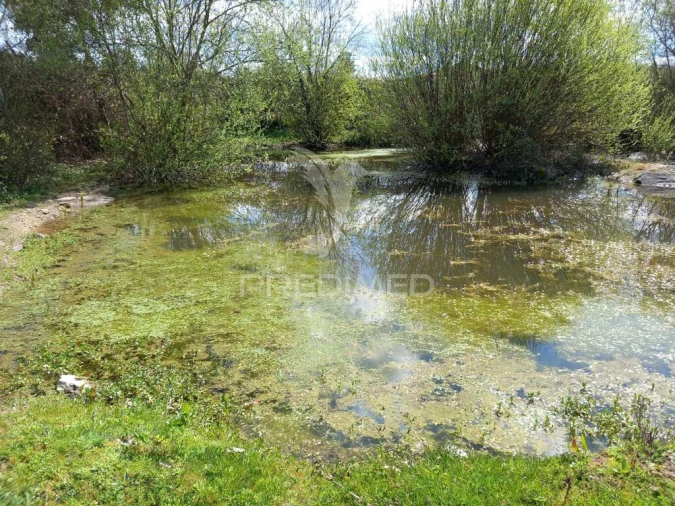 Quinta para Venda em Mêda, Outeiro de Gatos e Fonte Longa Foto 10