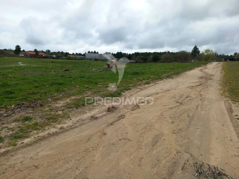 Quinta para Venda em Mêda, Outeiro de Gatos e Fonte Longa Foto 8