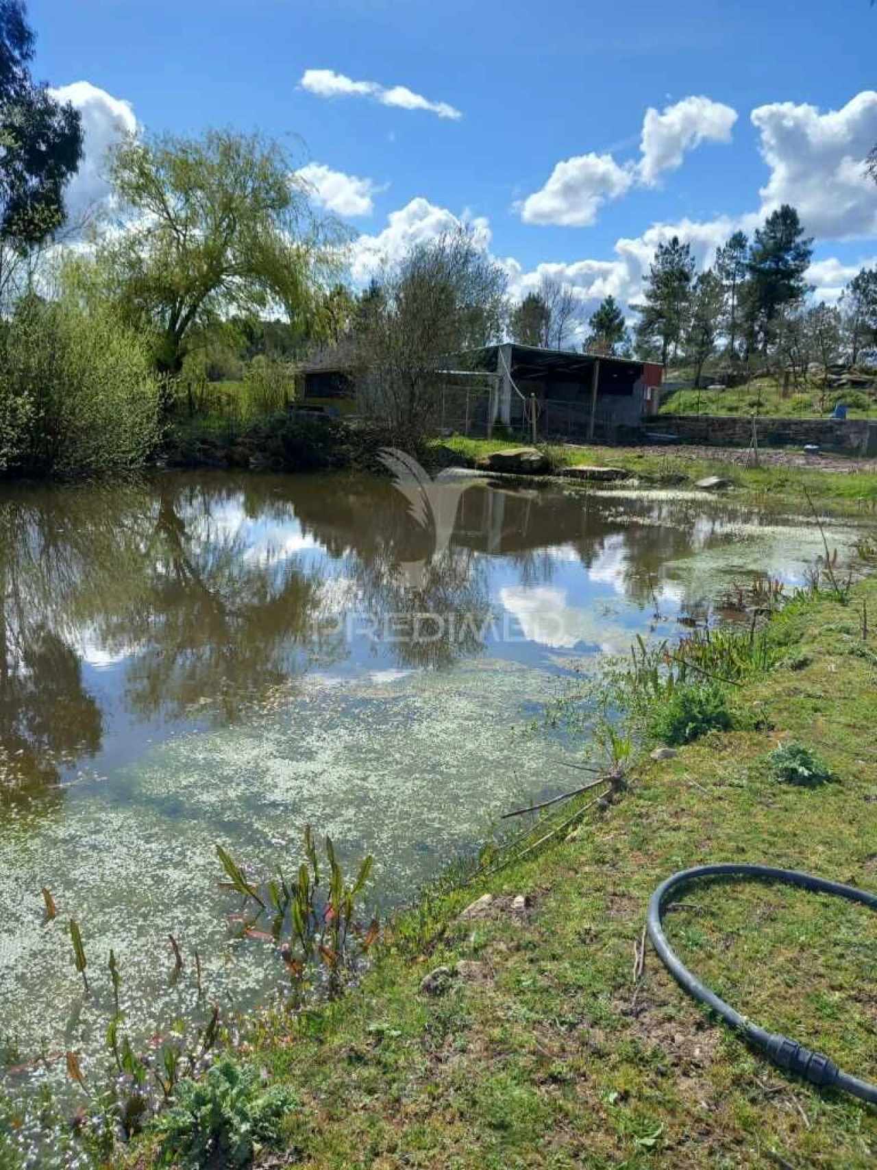 Quinta para Venda em Mêda, Outeiro de Gatos e Fonte Longa Foto 5