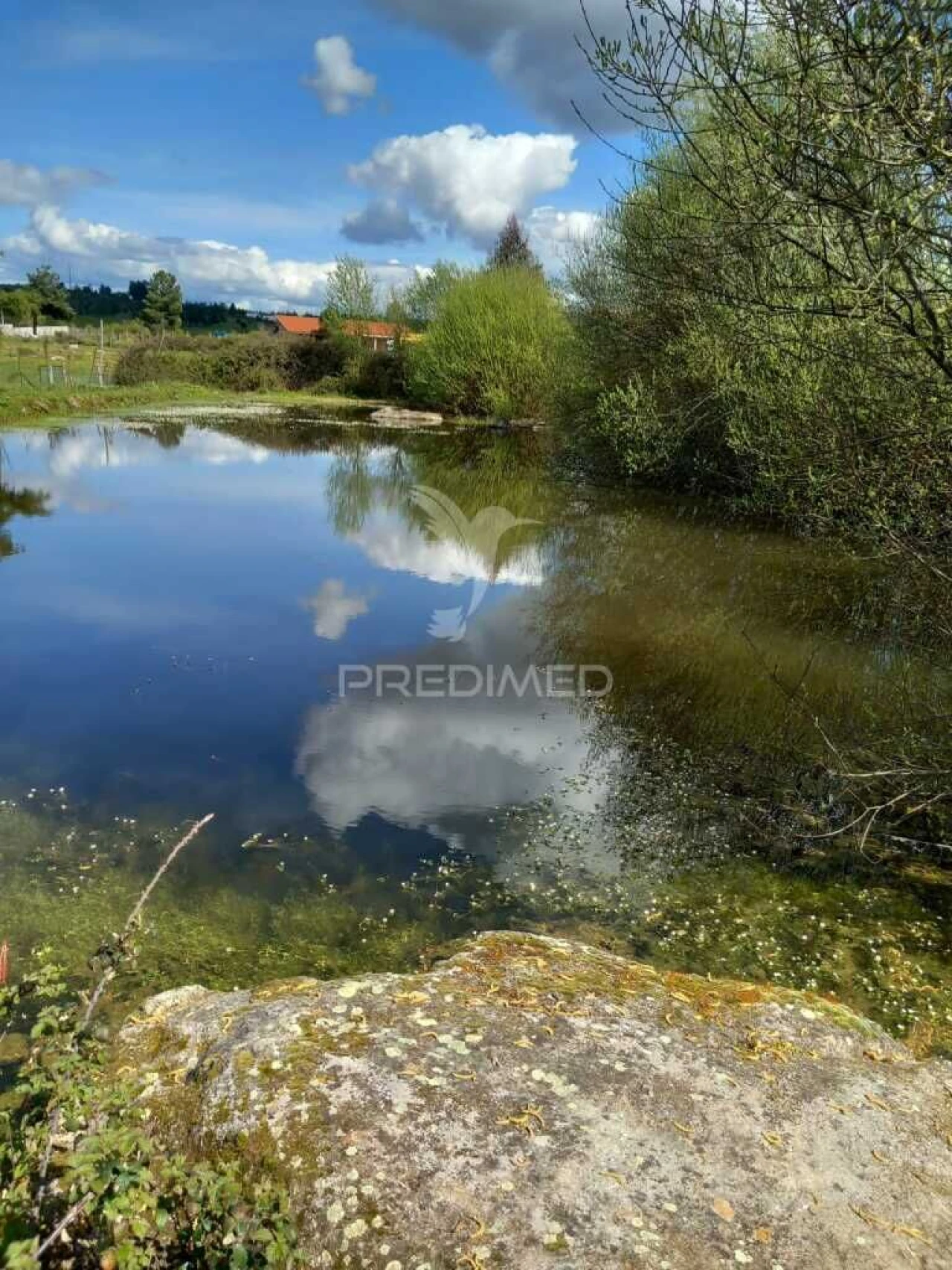 Quinta para Venda em Mêda, Outeiro de Gatos e Fonte Longa Foto 2
