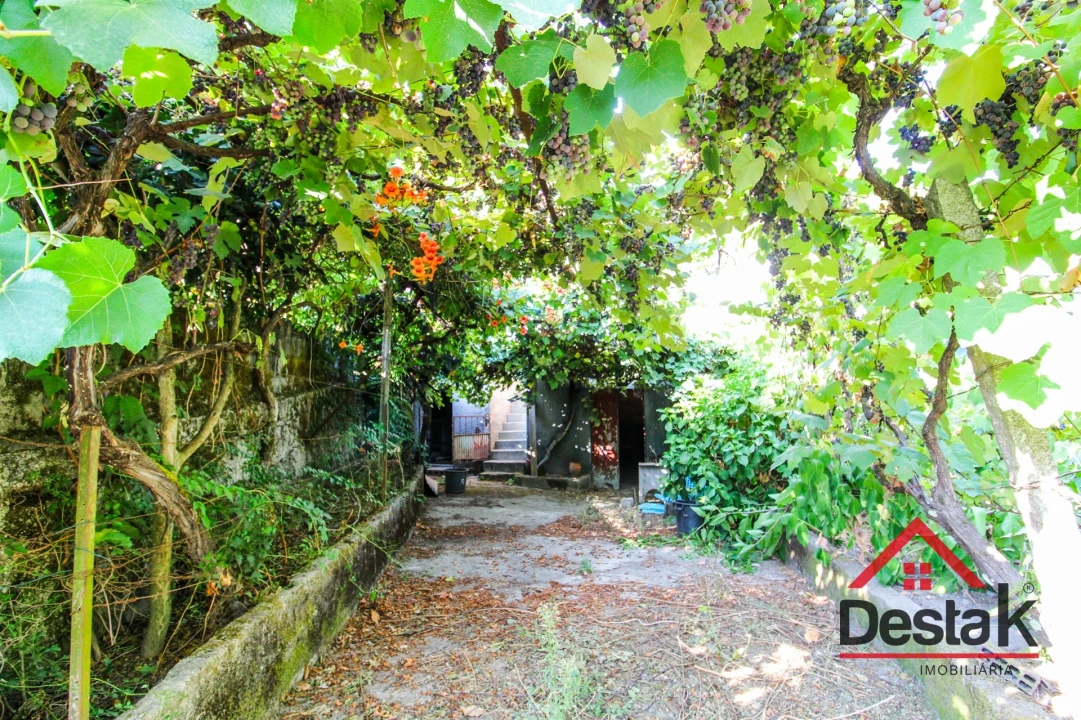 Moradia T3 para Venda em Sul Foto 25