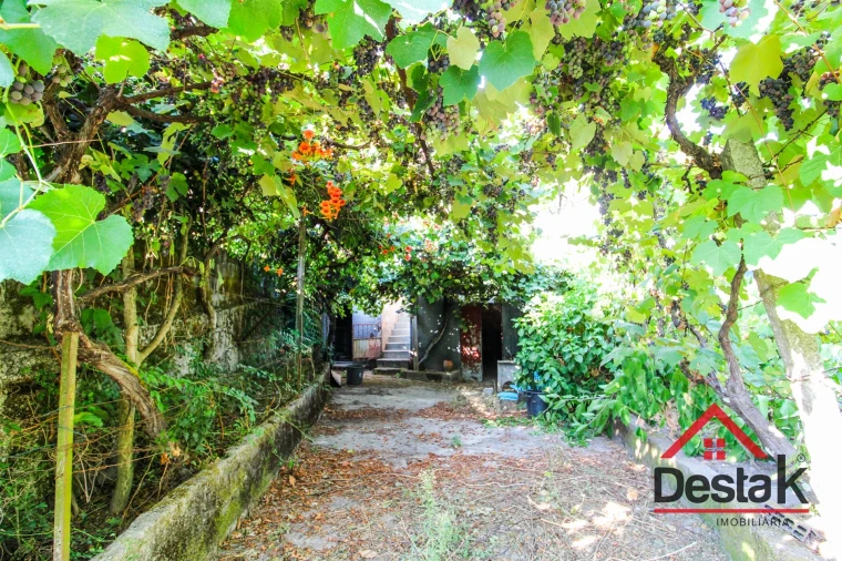 Moradia T3 para Venda em Sul Foto 25