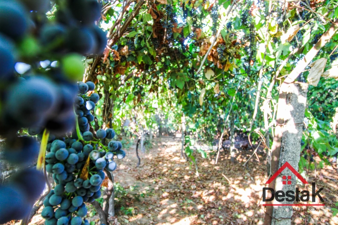 Moradia T3 para Venda em Sul Foto 28