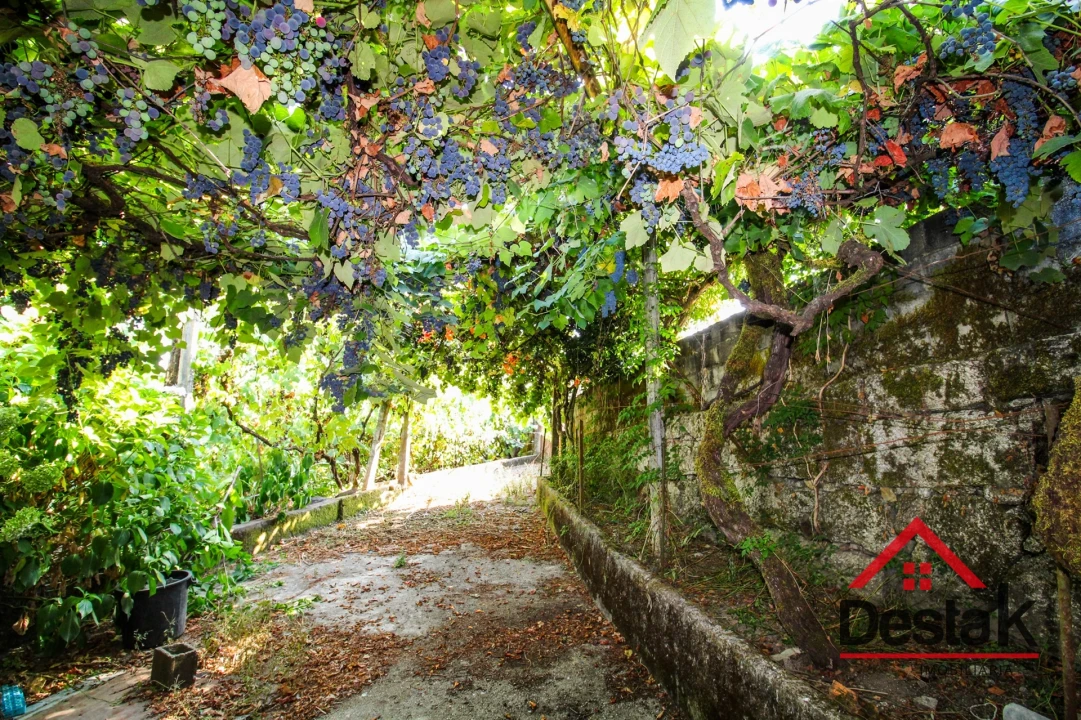 Moradia T3 para Venda em Sul Foto 21