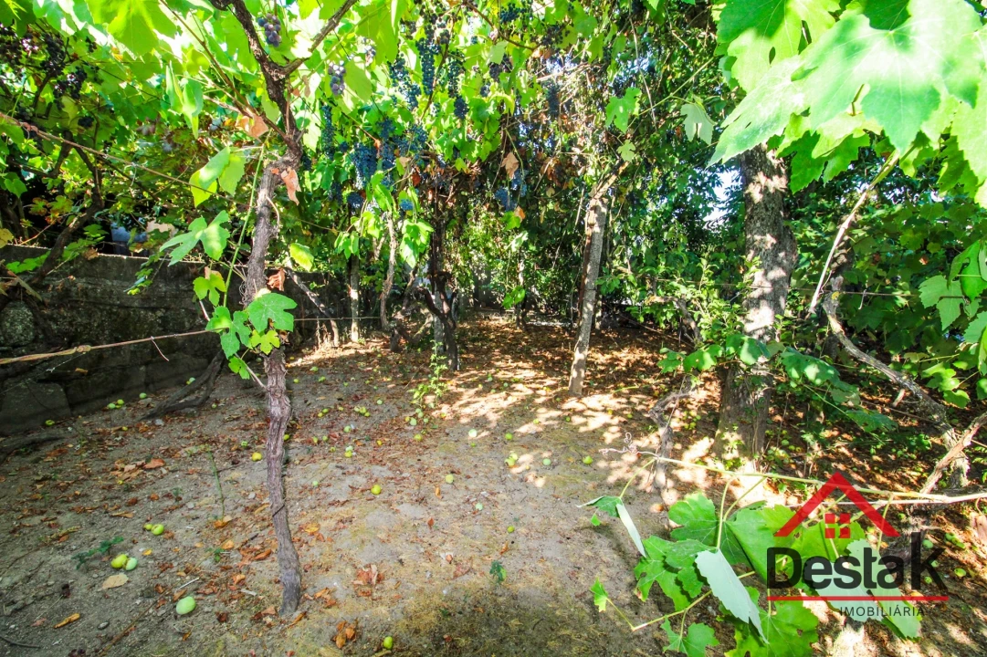 Moradia T3 para Venda em Sul Foto 27