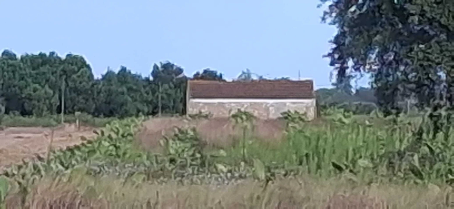 Terreno para Venda em Marinhais Foto 2