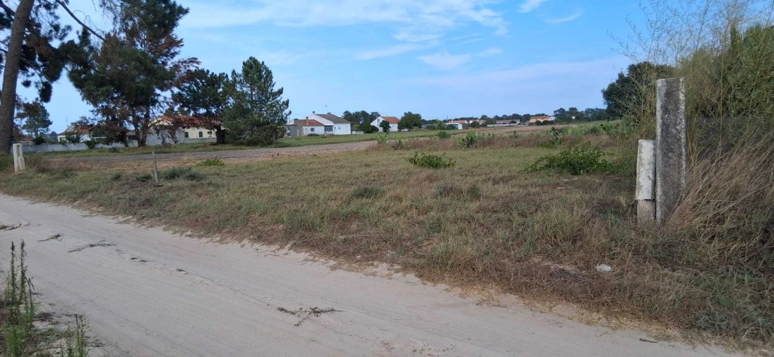 Terreno para Venda em Marinhais Foto 4
