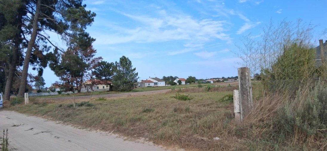 Terreno para Venda em Marinhais Foto 3