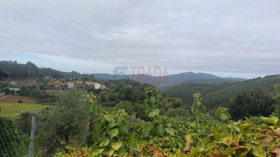 Moradia T2 para Venda em Anjos e Vilar do Chão Foto 8