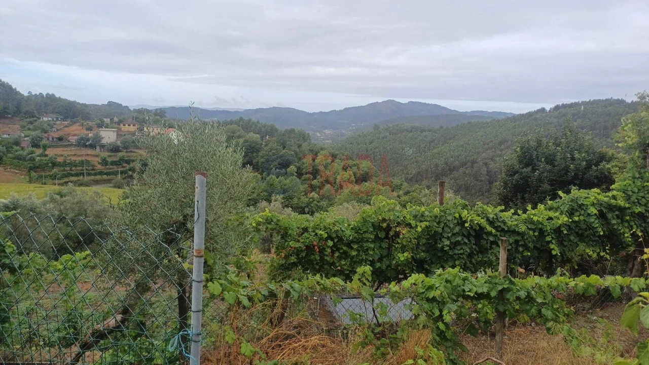 Moradia T2 para Venda em Anjos e Vilar do Chão Foto 7