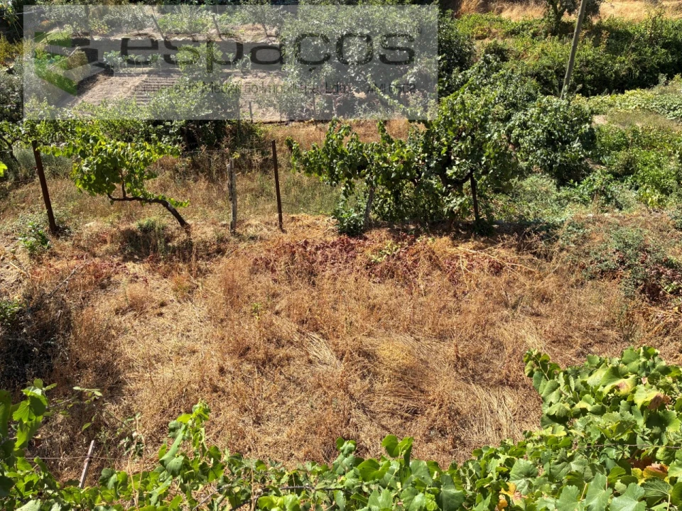 Moradia T4 para Venda em Silvares Foto 36