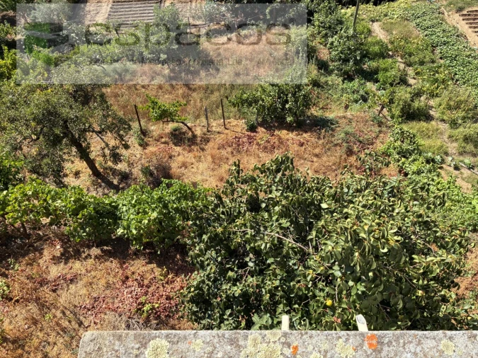 Moradia T4 para Venda em Silvares Foto 35