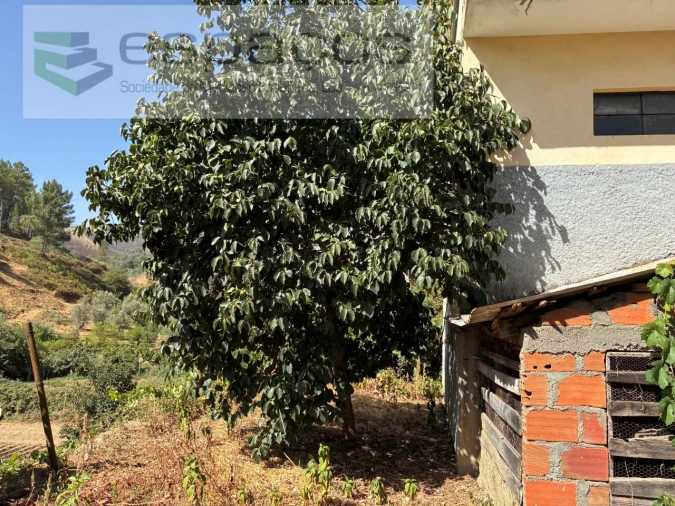 Moradia T4 para Venda em Silvares Foto 32