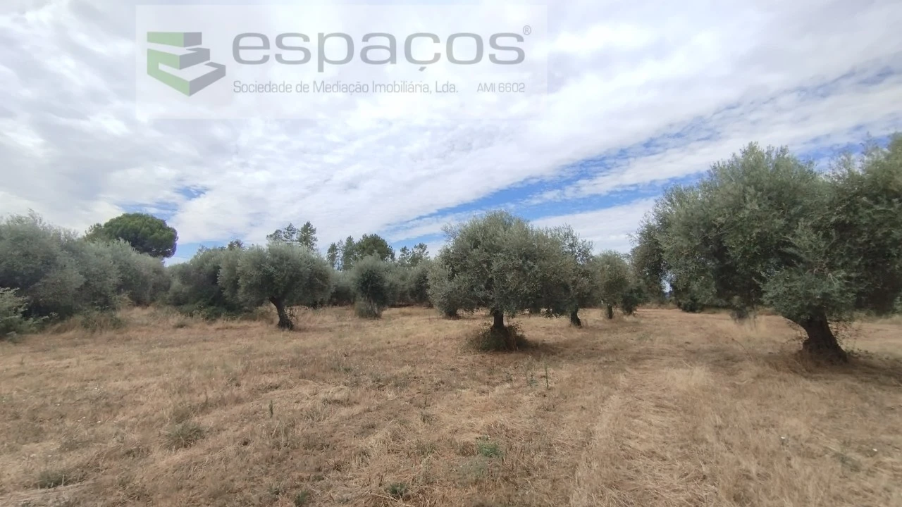 Terreno para Venda em Salvador Foto 5