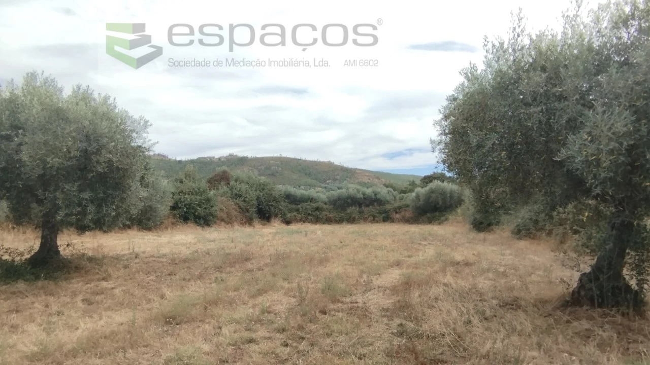 Terreno para Venda em Salvador Foto 8