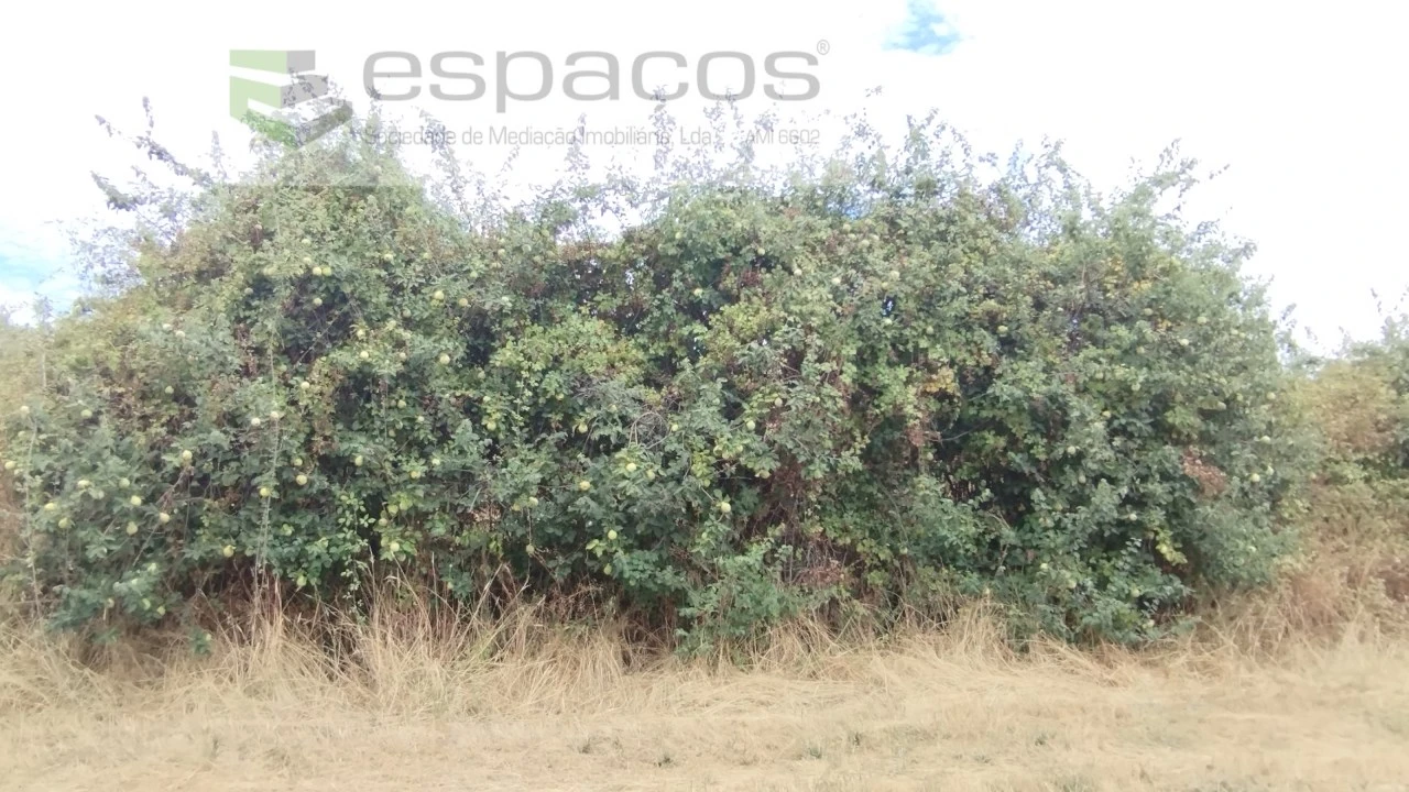 Terreno para Venda em Salvador Foto 11