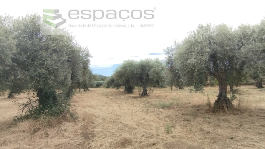 Terreno para Venda em Salvador Foto 4