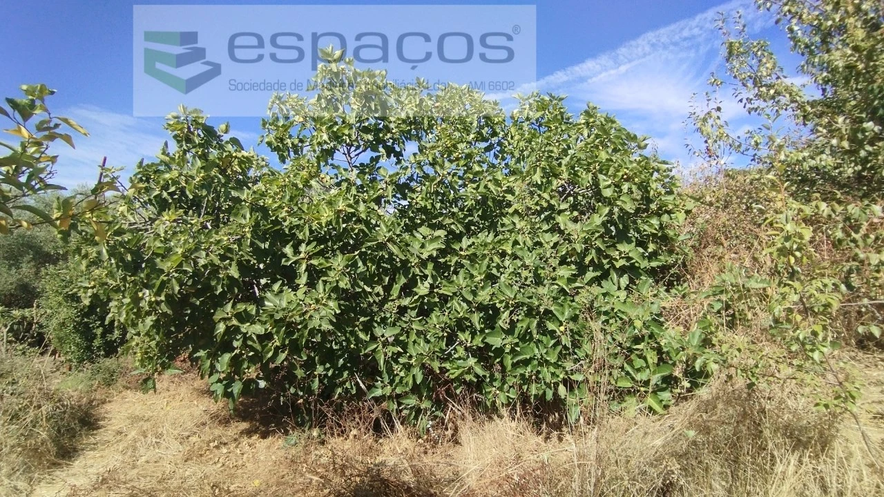 Quinta T1 para Venda em Salvador Foto 10