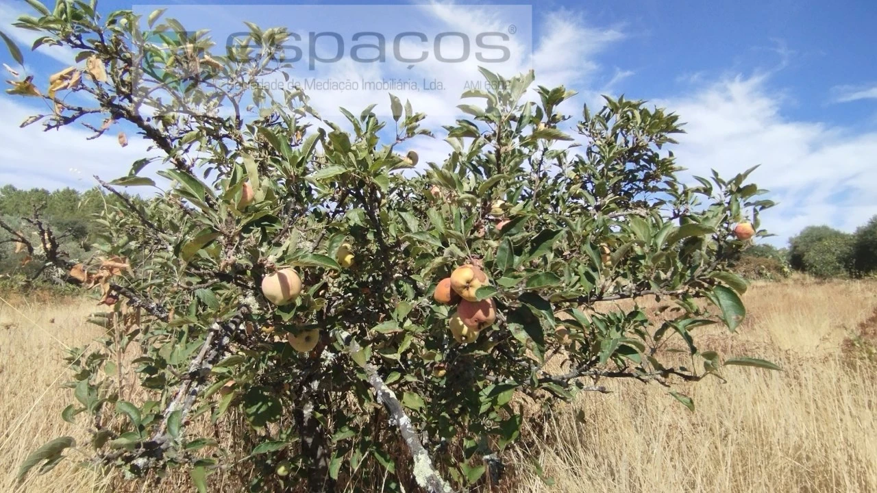 Quinta T1 para Venda em Salvador Foto 19
