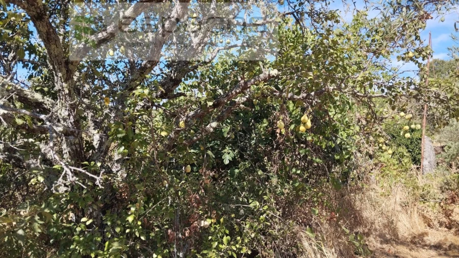 Quinta T1 para Venda em Salvador Foto 6