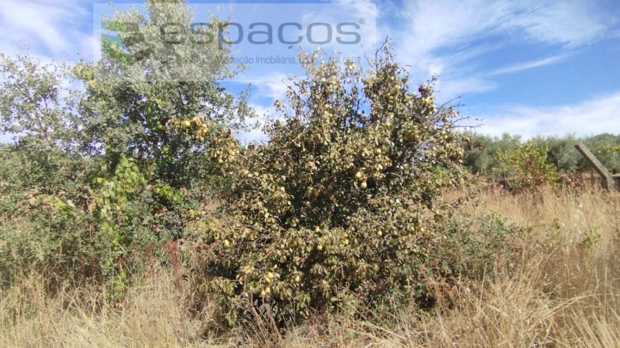 Quinta T1 para Venda em Salvador Foto 20