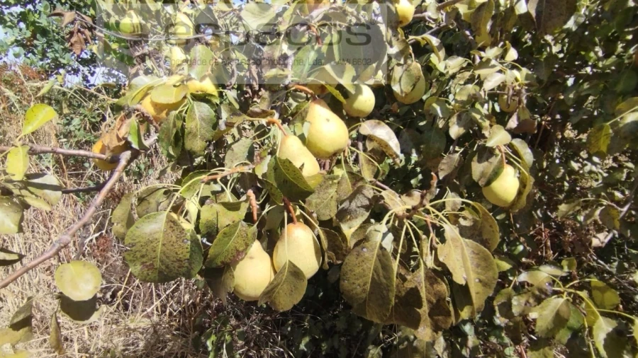 Quinta T1 para Venda em Salvador Foto 21