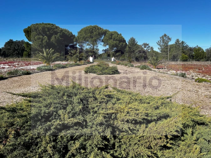 Quinta T3 para Venda em Torrão Foto 3