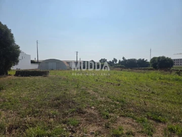 Terreno para Venda em Aradas