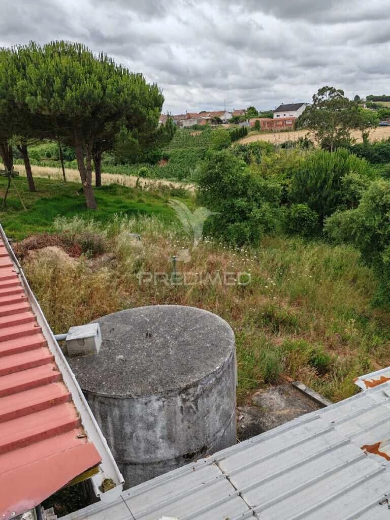 Armazém para Arrendamento em Aljubarrota Foto 10