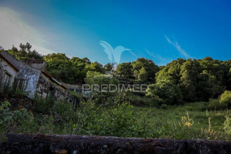 Moradia T1 para Venda em Urzelina (São Mateus) Foto 6