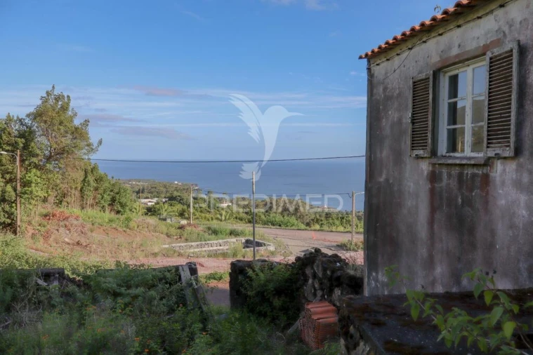 Moradia T1 para Venda em Urzelina (São Mateus) Foto 8