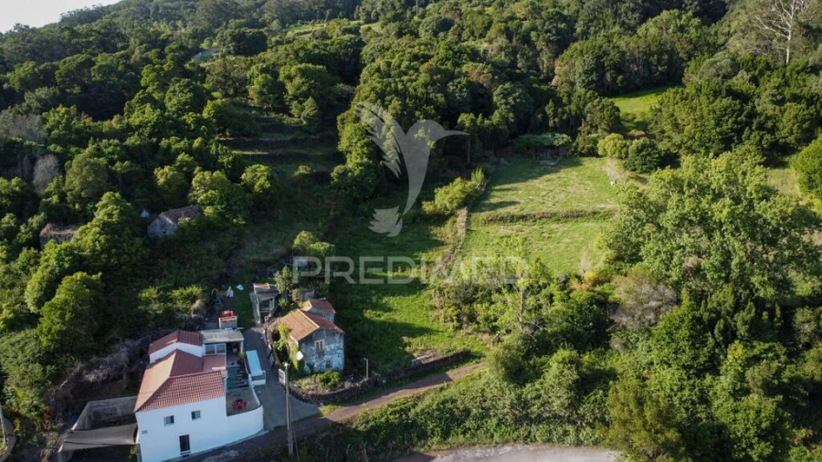 Moradia T1 para Venda em Urzelina (São Mateus) Foto 2