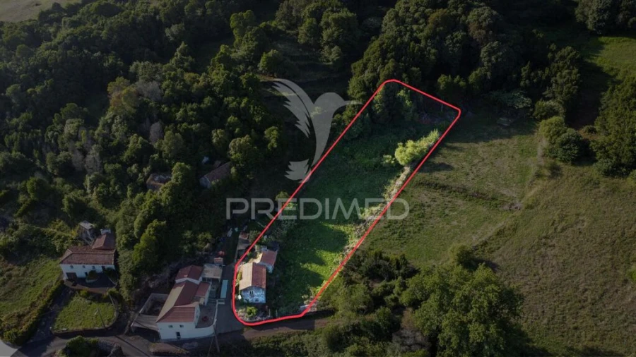 Moradia T1 para Venda em Urzelina (São Mateus) Foto 3