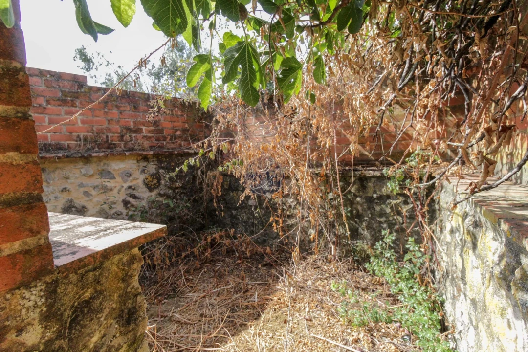 Moradia T4 para Venda em Almoster Foto 25